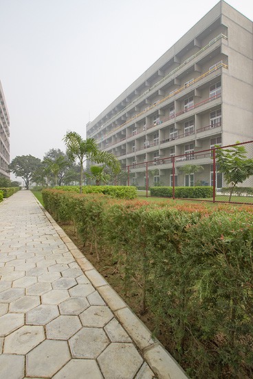 地下地震:在地面上。金地部,印度大学。第四个月的阿雷拉。